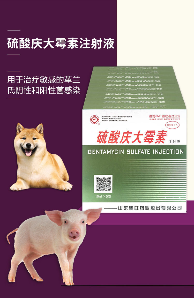 兽药兽用庆大霉素注射液硫酸庆大霉素牛羊猫狗鱼龟用猪用拉稀肠炎腹泻
