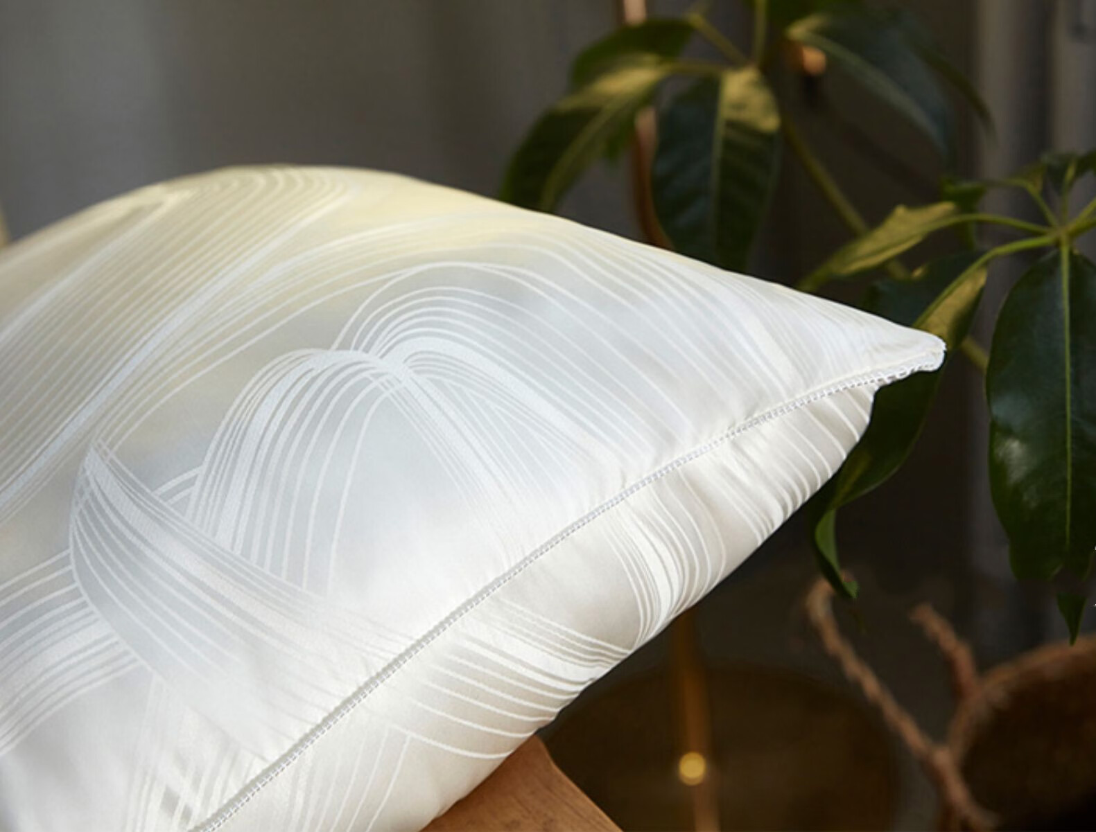 【品质好物】真丝蚕丝枕头桑蚕丝面料单人枕芯舒适颈椎成人枕头 低枕