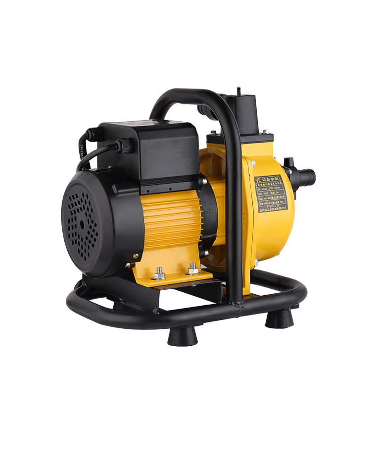 高压48v60v大流量便携式户外抽水机dc80直流变频自吸泵1100w3寸48v6