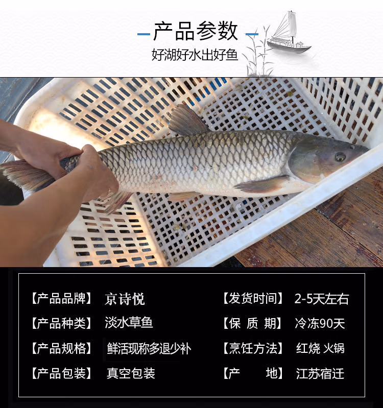 48b29a214cbf0d99.jpg.avif