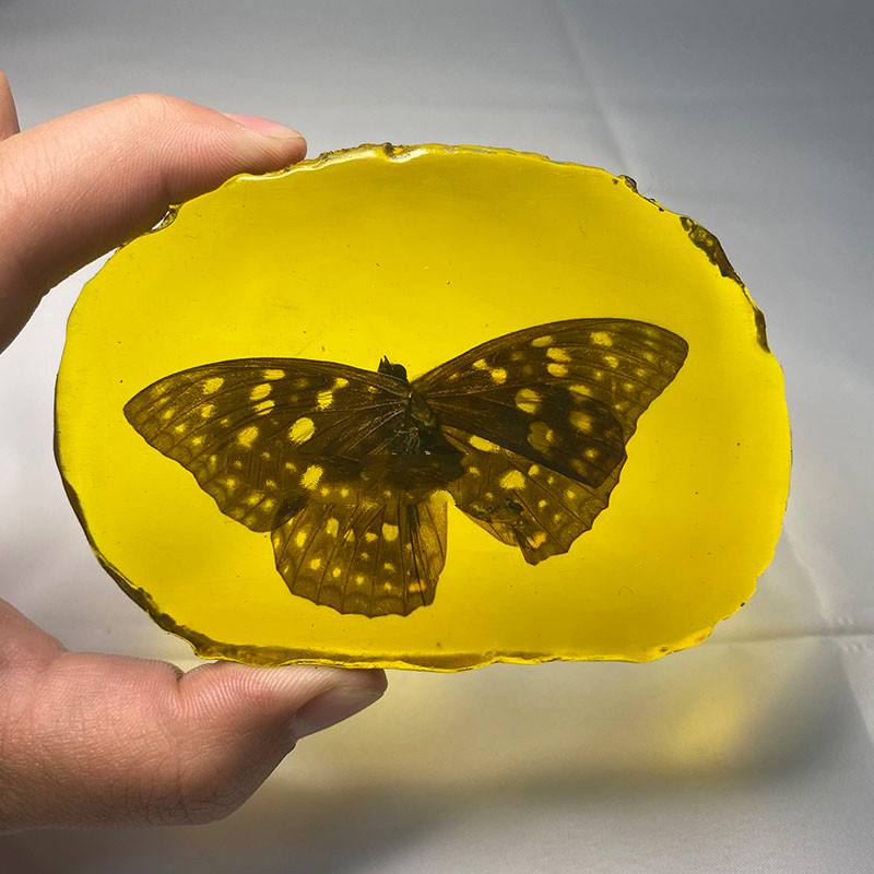 古珍虫珀人工琥珀隔片化石原石吊坠真虫子标本动物真昆虫带虫琥珀送