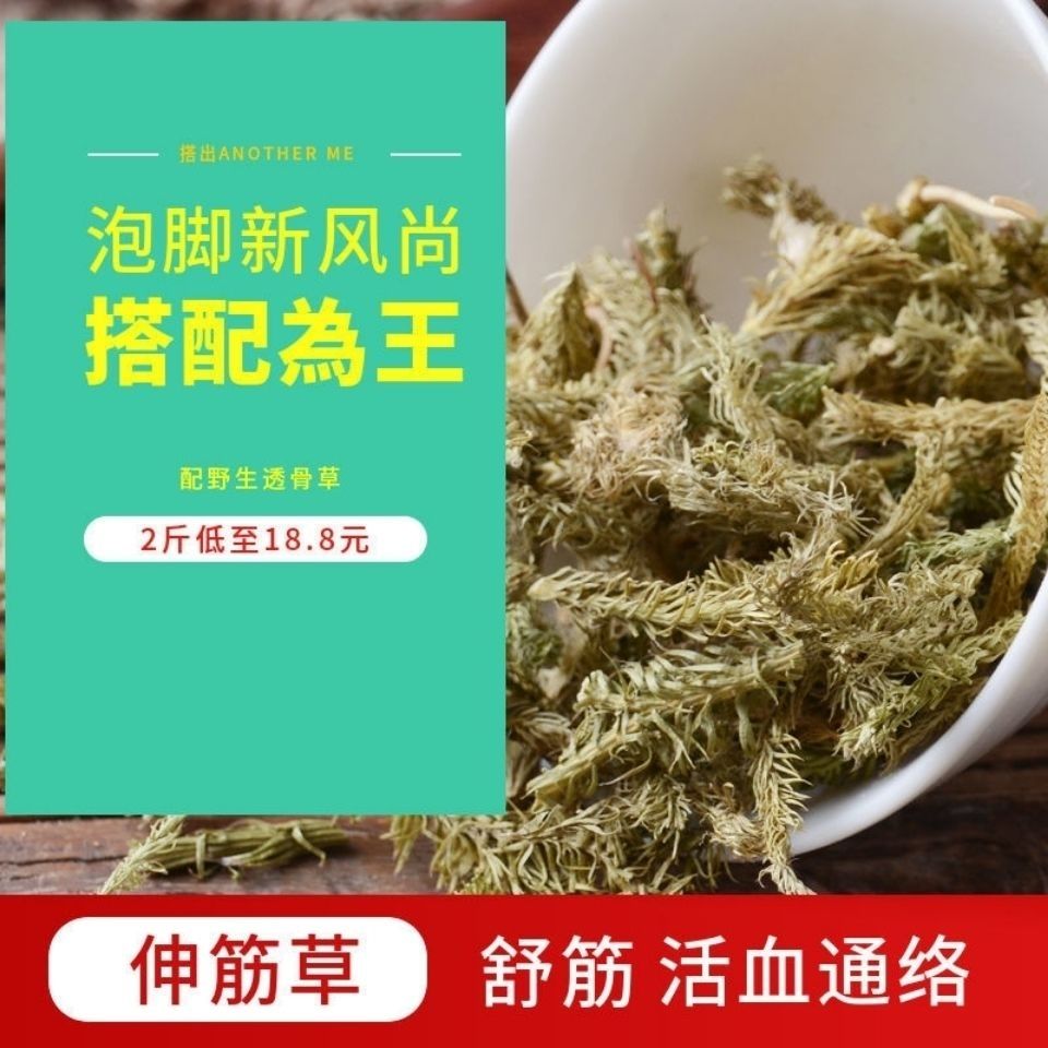 伸筋草透骨草泡腳各250克泡腳中藥包氣舒筋透骨草500克