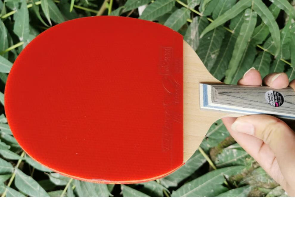 y蝴蝶乒乓球拍8星张继科同款碳纤维碳素蝴蝶王乒乓球拍直拍 蝴蝶王