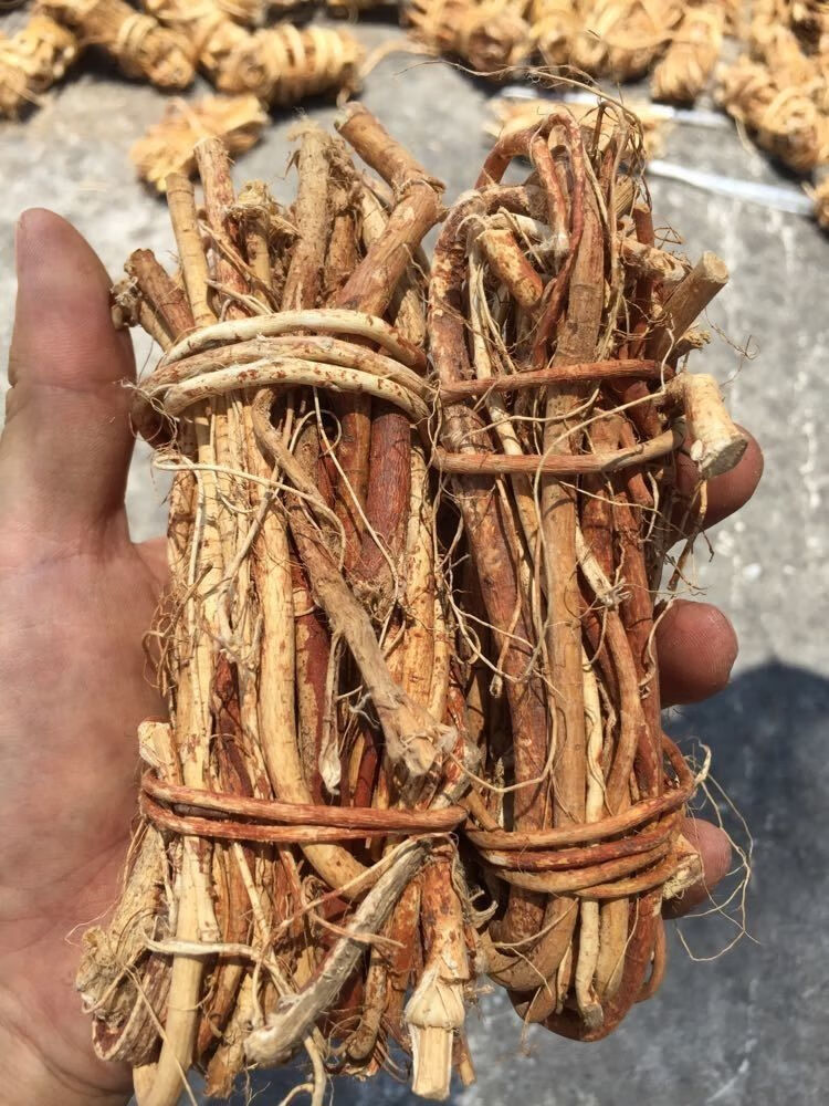 野生五指毛桃根干货五指牛奶五爪龙配牛大力土茯苓煲汤泡酒料 五指