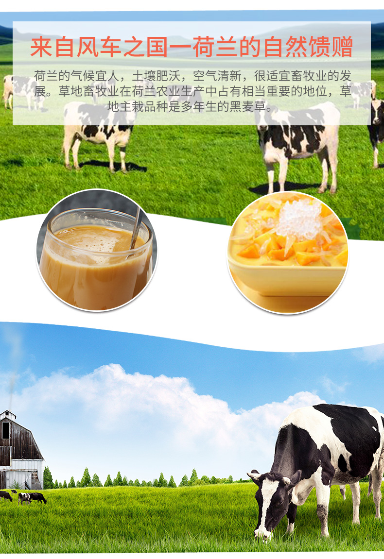 全脂淡奶淡炼乳400g瓶装烘焙咖啡港式丝袜奶茶饮品原料家用