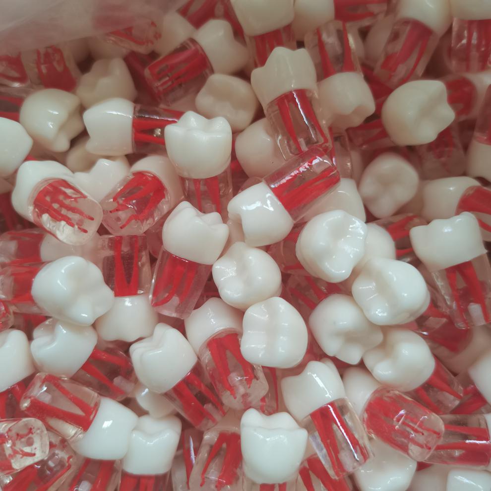 【药房直售】牙科口腔教学牙齿模型树脂牙粒牙体根管练习开髓洞制洞带