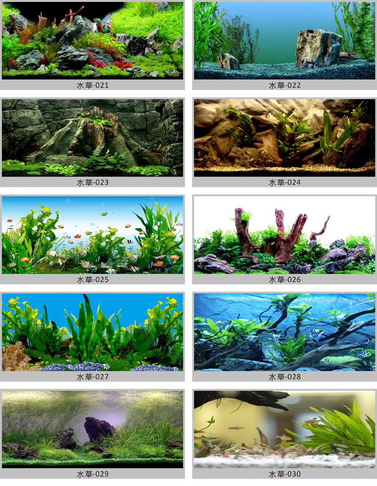 鱼缸背景贴纸 鱼缸造景 鱼缸贴纸 纸画树根岩石水草5d立体高清图鱼缸