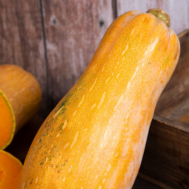 云南老南瓜高原蜜本瓜5斤清甜农家自种宝宝孕妇蔬菜整箱生鲜老南瓜