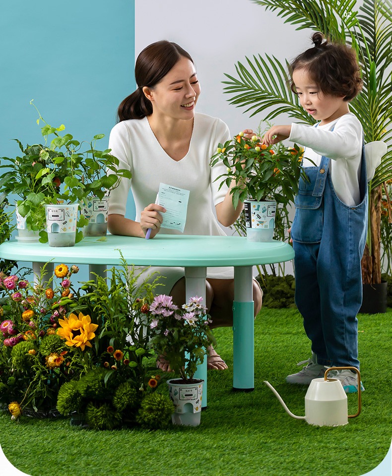 欧芽 中梦幼儿园植物小盆栽创意迷你儿童花农diy室内土培种植生长观察