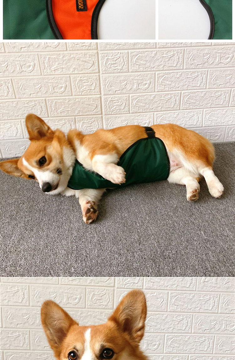 宠物防水肚兜宠物狗狗肚兜雨衣衣服防着凉加绒保暖夏天春秋护肚子柯基