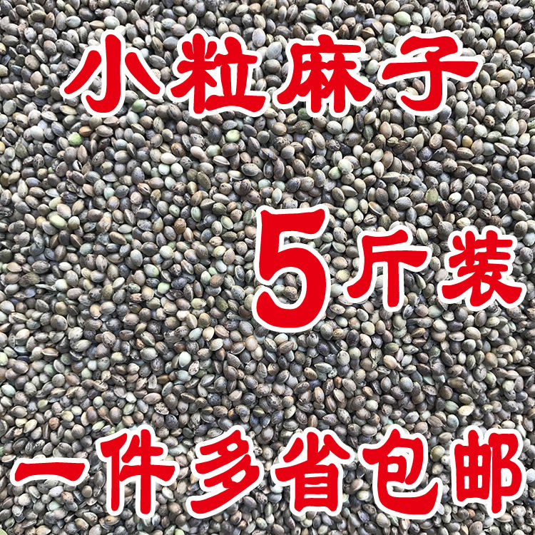 布兰格迪大中小麻子麻籽玄凤牡丹鹦鹉鸟食饲料鸟粮仓鼠粮鸽子粮食一件