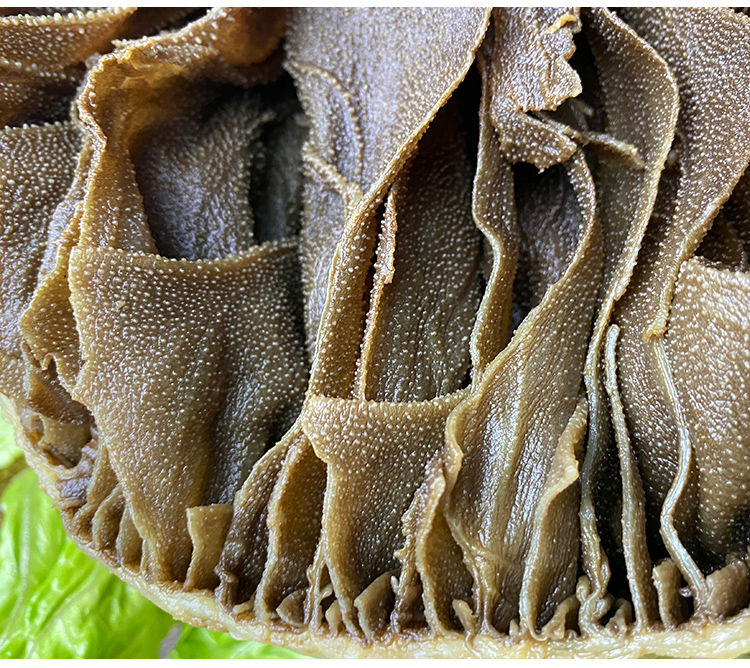 带底板新鲜冷冻重庆食材牛百叶千层肚火锅配菜牛杂肚带底板毛肚2斤装