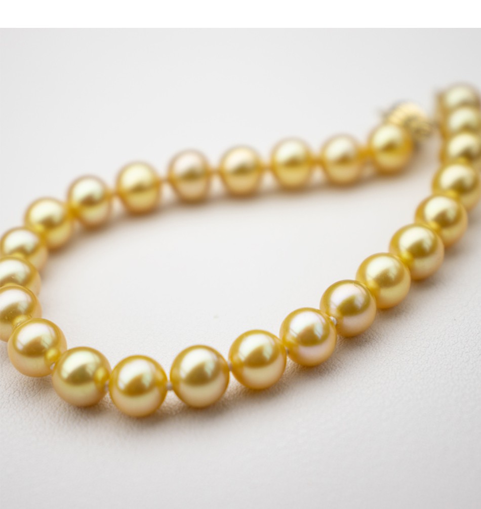 香槟金品质南洋金珠羽 皇金珍珠手链 14手串 正圆极强光 近圆几乎无瑕