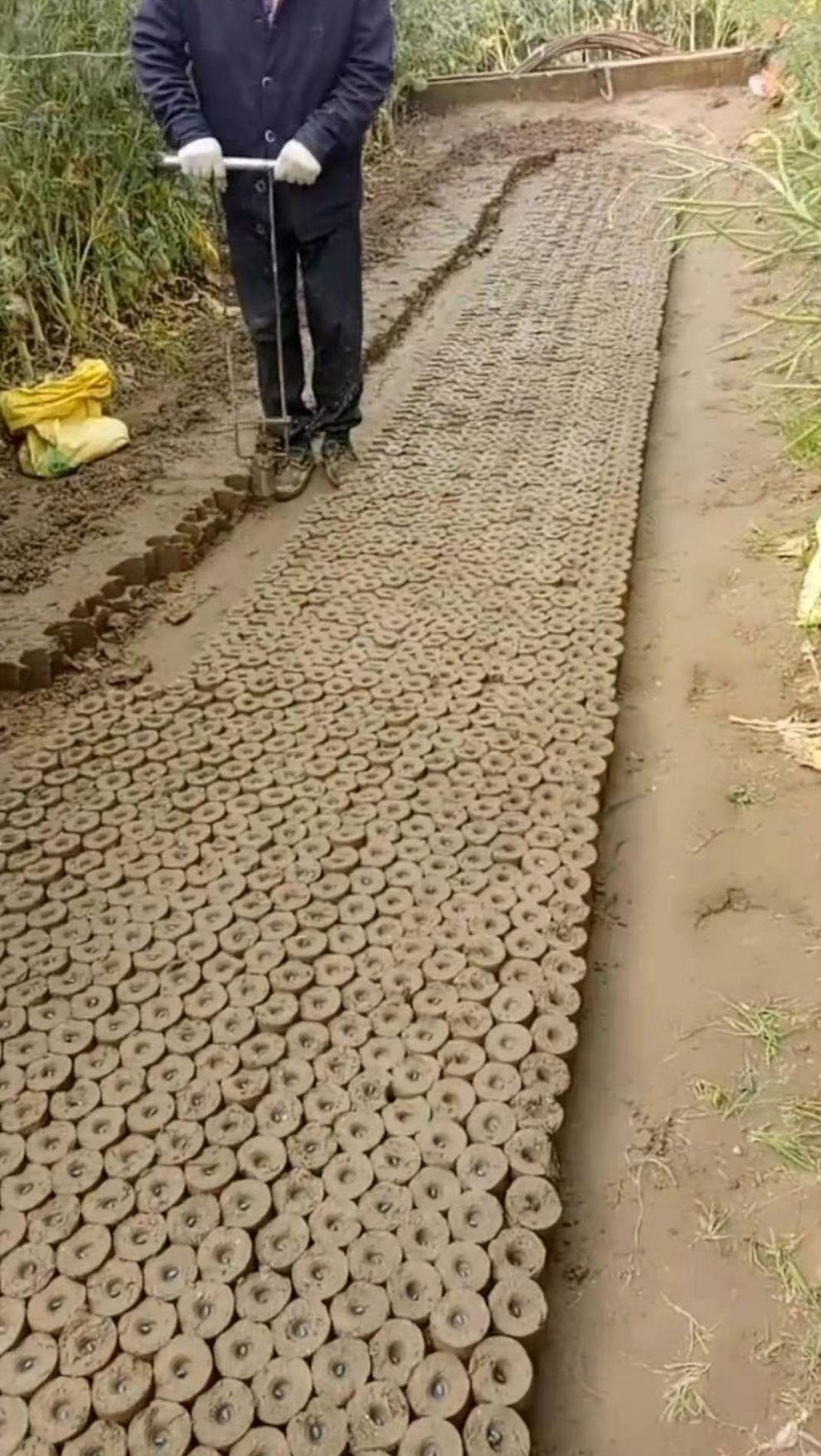 蔬菜棉花打钵机打孔器栽苗育苗神器种植打眼花卉营养土农用打钵机45