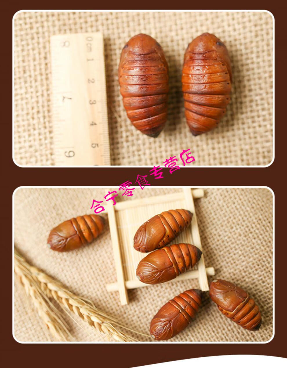 东北特产柞蚕蛹2021新鲜活大黄蚕蛹a级茧蛹蝉蛹一份2斤顺丰