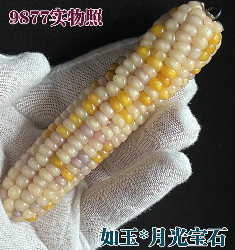 6d1cd9d664539d1f.jpg