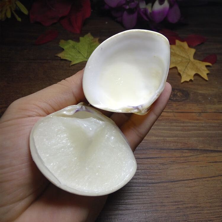 jd优选蛤蜊油上海牌哈喇油蚌壳贝壳油哈利油嘎啦油歪子油蛤蜊油手足