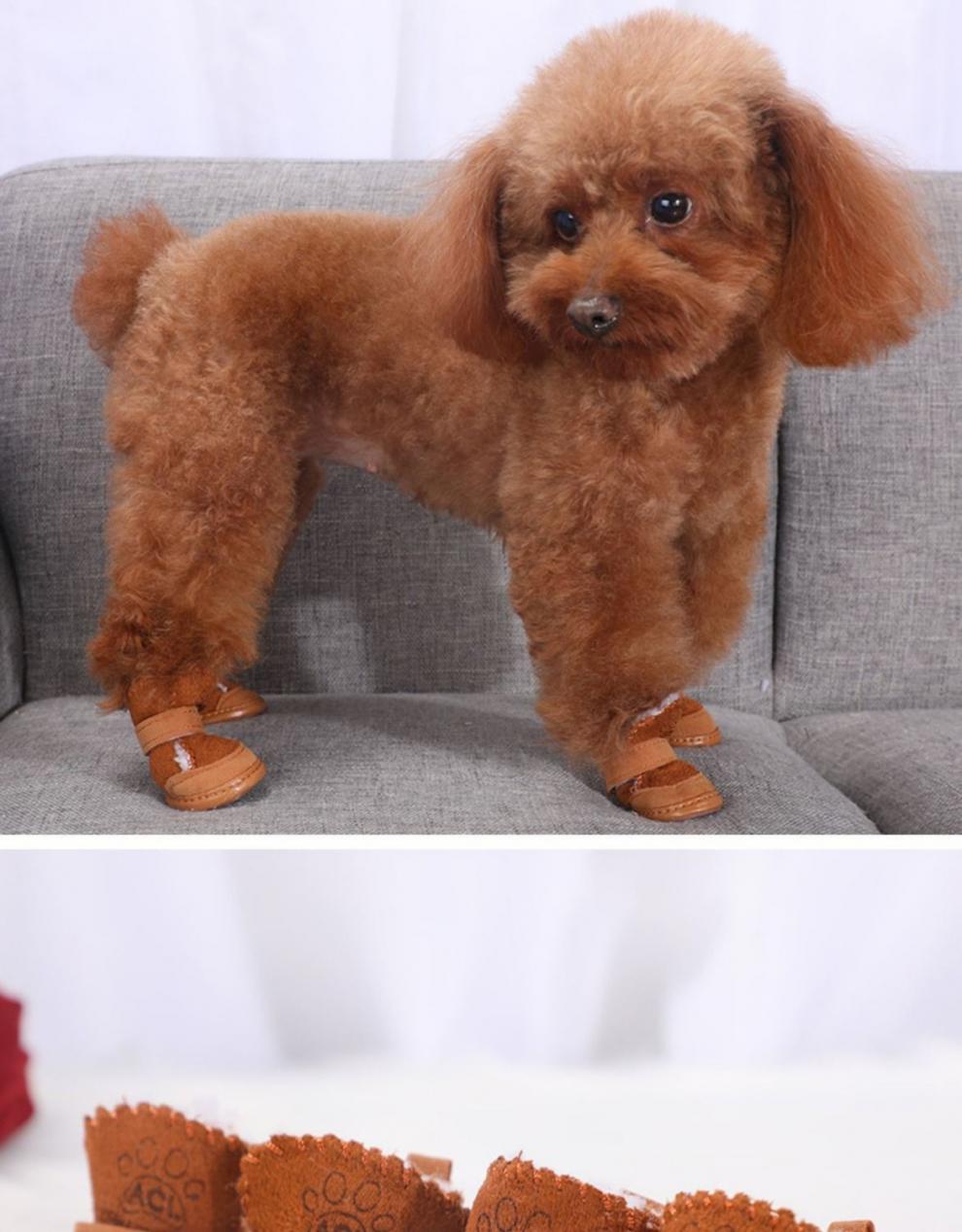 鹿凌青 小狗狗穿的鞋子狗狗鞋子一套4只防抓四季防水宠物鞋泰迪比熊