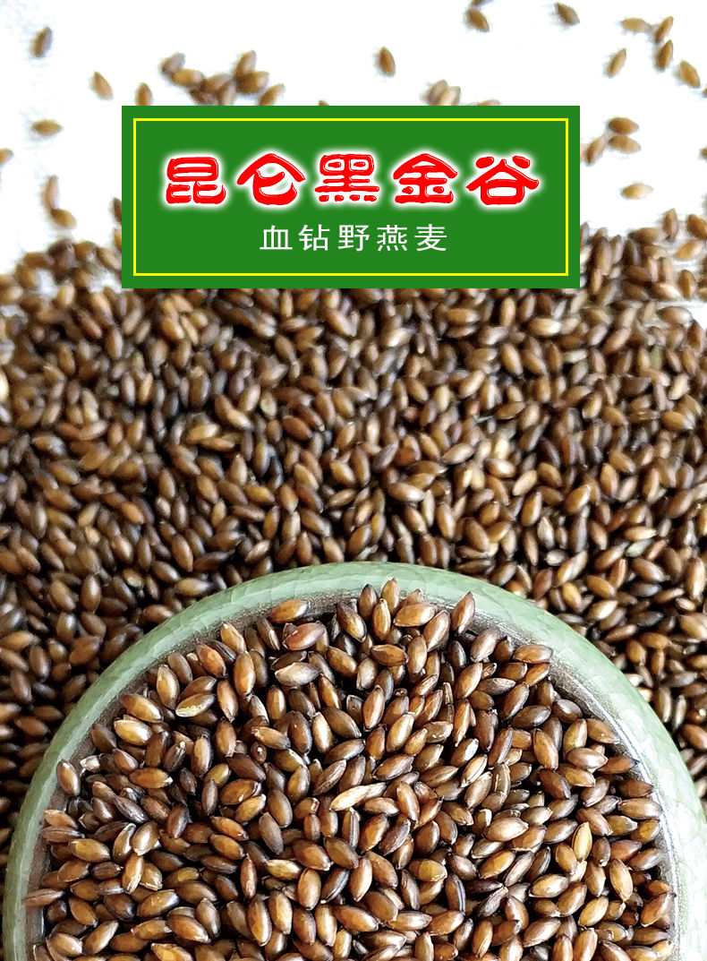 黑金谷米秦岭陕西血钻野燕麦五谷杂粮黑冬谷黑谷米500克黑金谷三色