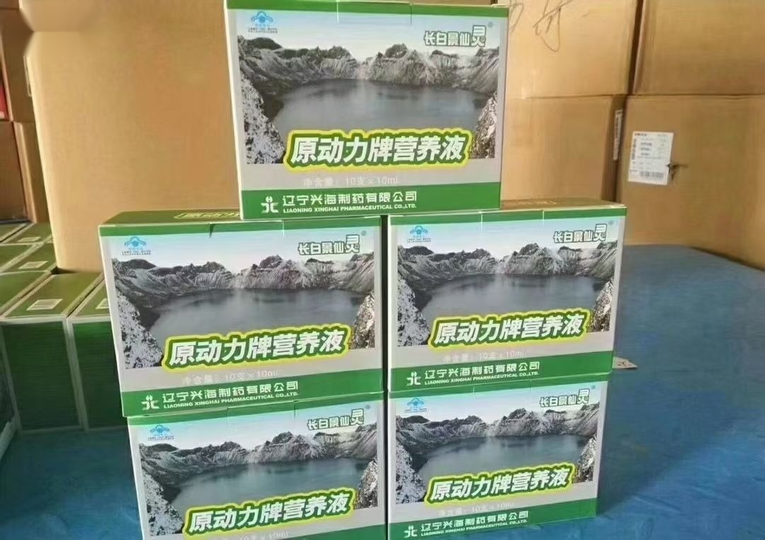 【官方旗舰】原动力牌营养液 长白景仙灵原动力营养液 1盒10支加能量