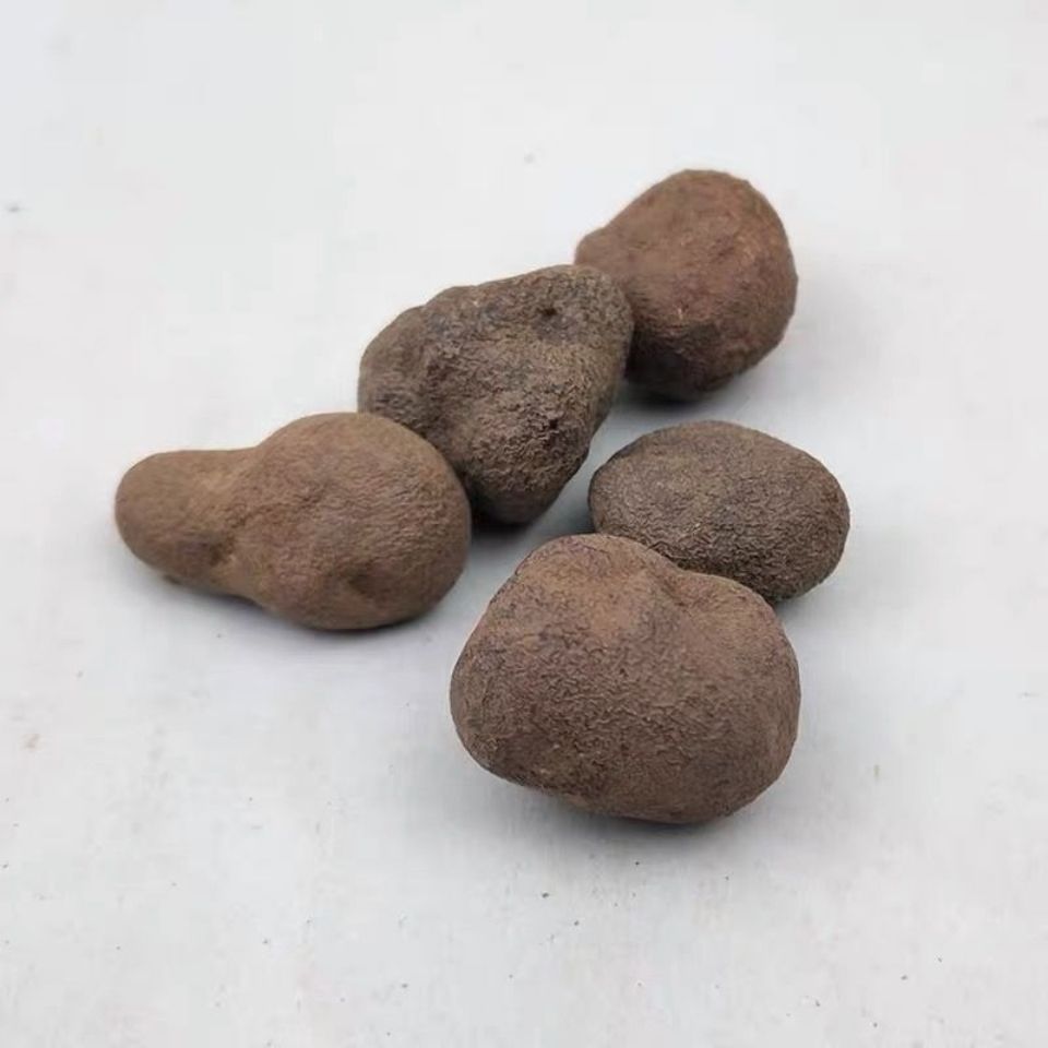 雷丸中药材 精选雷丸雷实竹林子木连子竹苓雷矢 50克【图片 价格 品牌