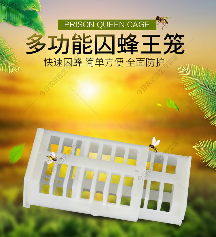 养蜂工具塑料王笼蜜蜂多功能蜂王笼囚蜂王囚王笼中蜂蜂箱【图片 价格