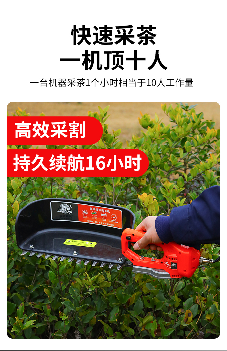 新款电动采茶机单人小型便携式茶树修剪机无刷充电式采摘机器无刷外