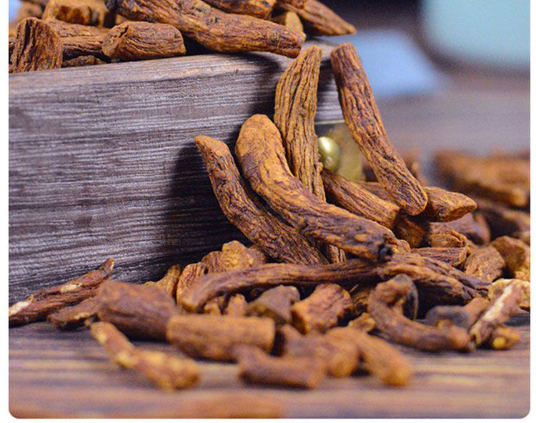 蒲公英根1斤婆婆丁根茶老根根儿泡茶50g春田之光蒲公英根50g