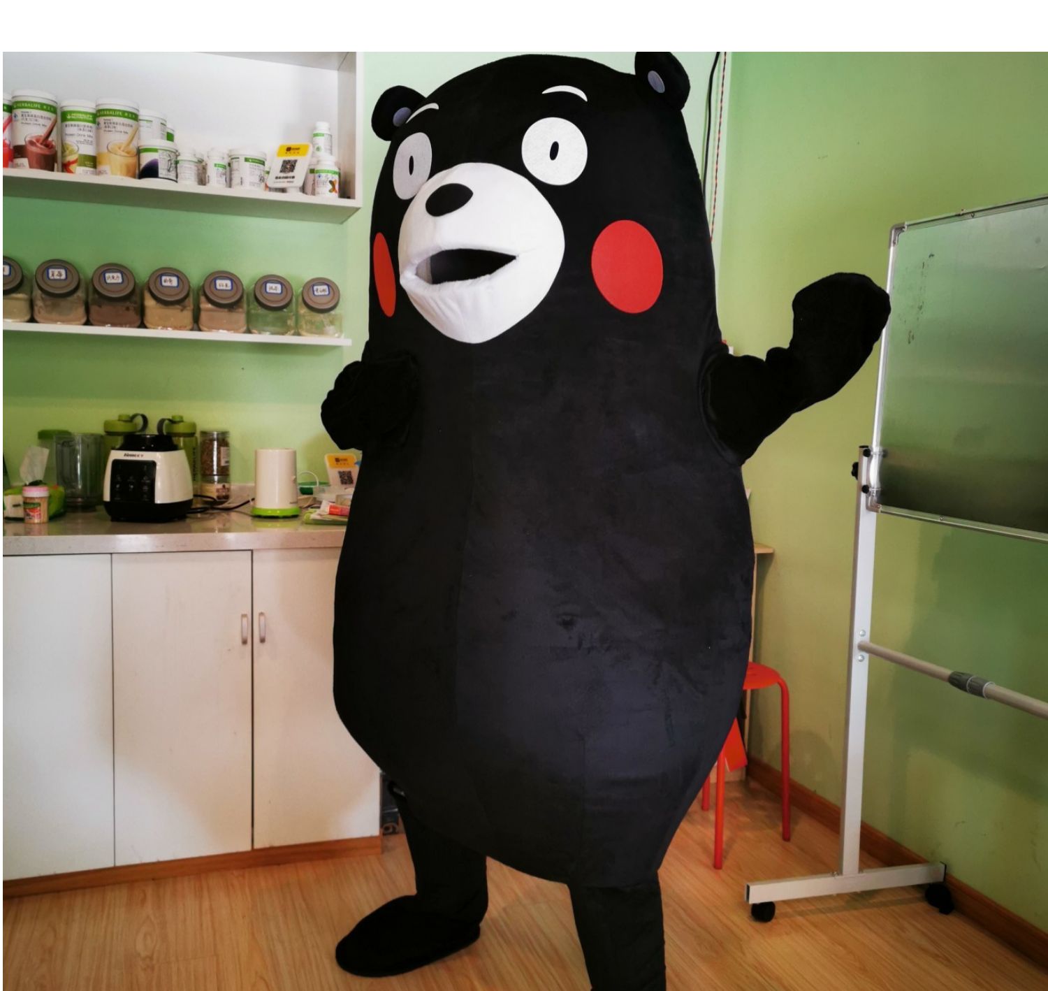 舞万花网红熊人偶服装熊本熊卡通人偶服装行走可穿玩偶服活动网红熊