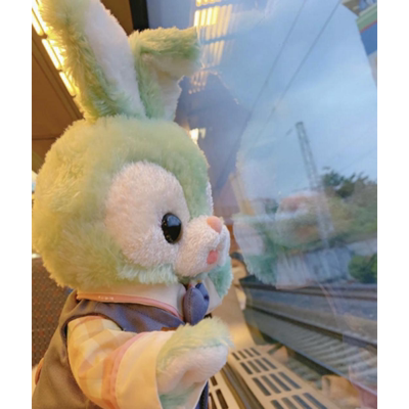 上海迪士尼代购星黛露stellalou兔子史黛拉毛绒玩偶芭蕾兔定制款限量