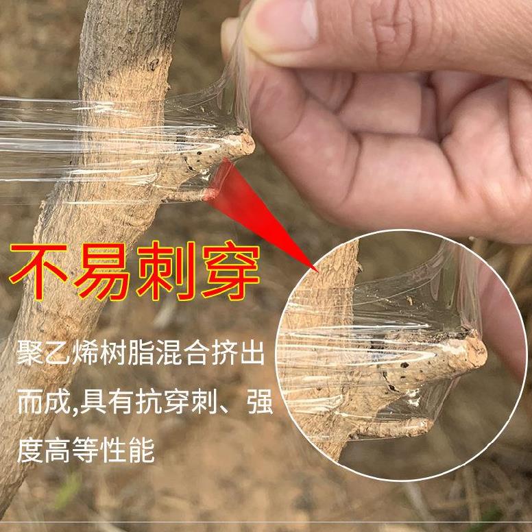 多用pe膜盆景保鲜膜保护膜密封捆绑月季嫁接树苗胶带簿膜缠绕宽10cm重