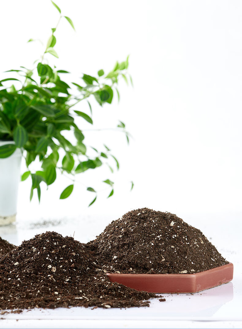 种花营养土花土壤多肉盆栽花卉种花专用的营养土养花通用专用泥土种植