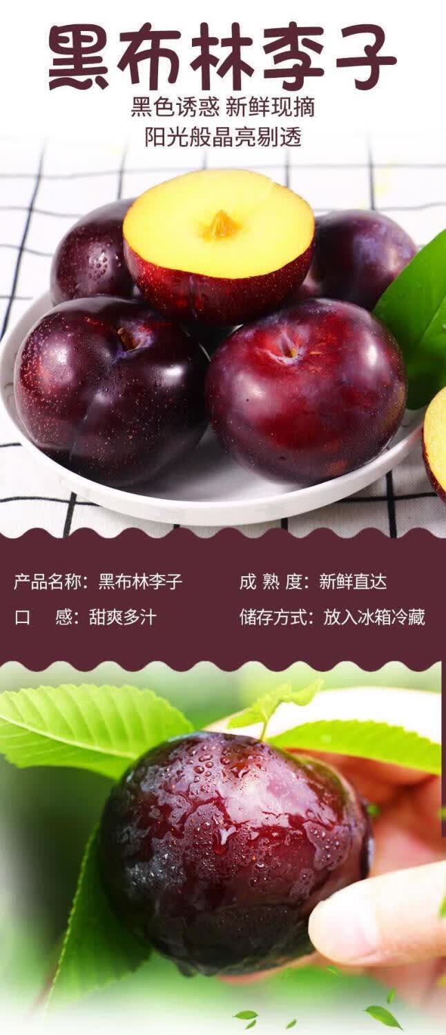 黑布林李子超甜黑布林大果新鲜孕妇水果红布林李子智力黑布林 中果