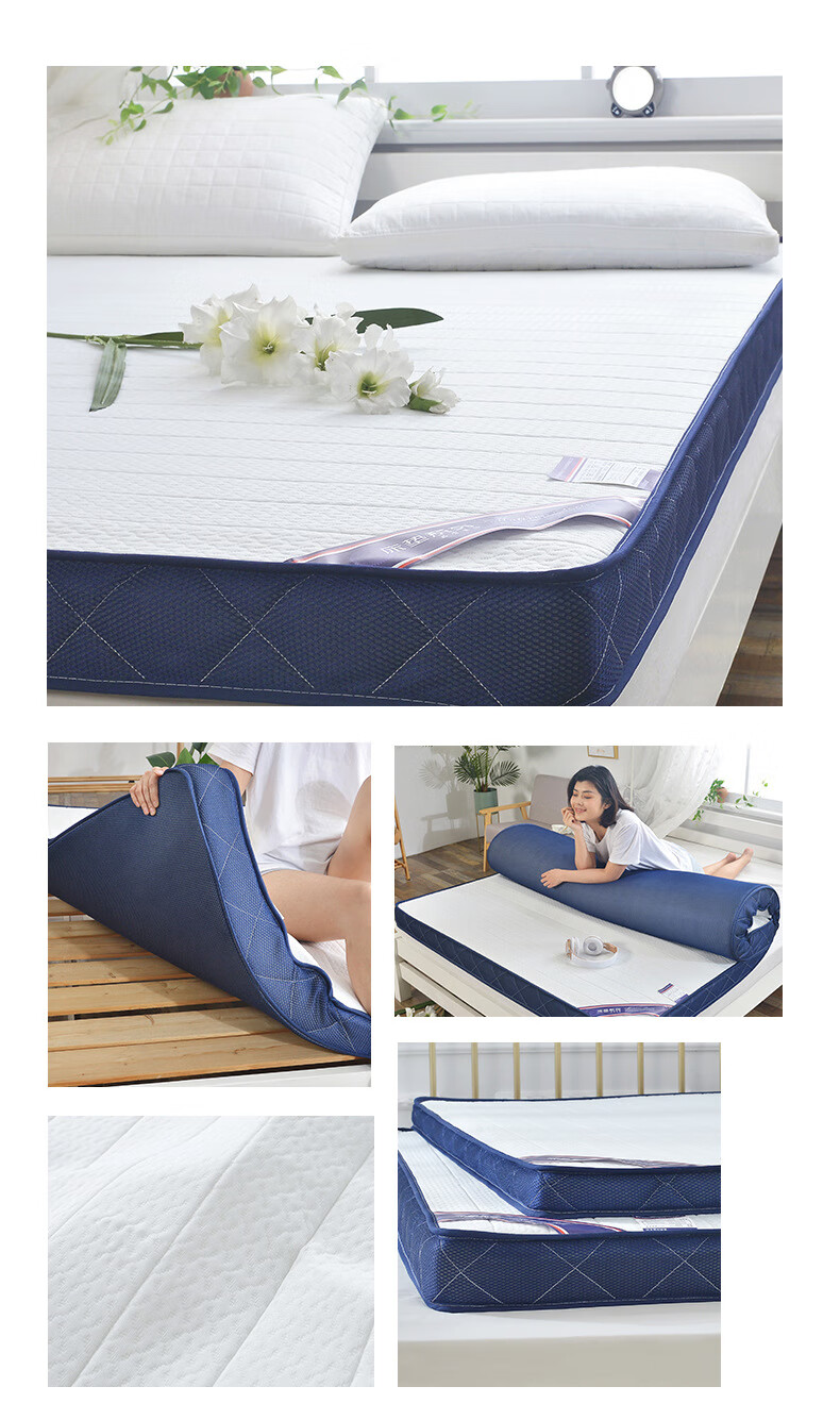 道者5d网加厚透气寝室记忆棉床垫学生宿舍单人慢回弹榻榻米软垫一件