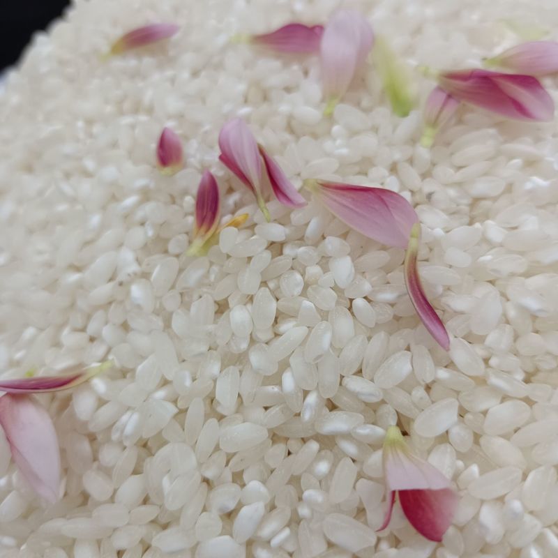 贵州农家桂朝米 多规格 贵潮米桂朝米 米皮米豆腐肠粉凉虾凉糕米粉