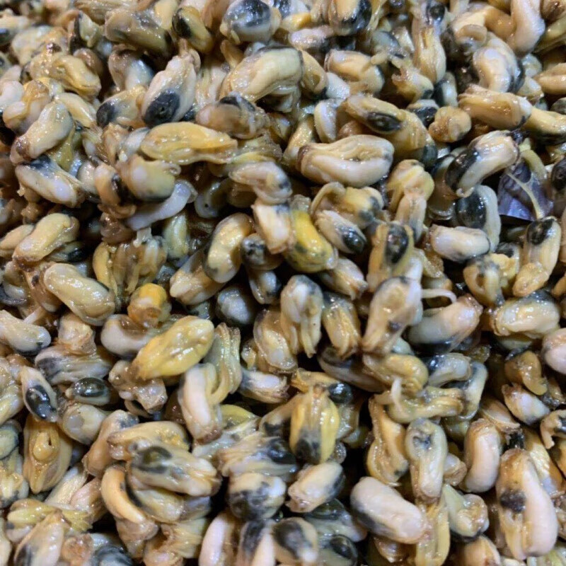 海瓜子肉潮汕特产薄壳米薄壳肉海鲜新鲜盐鸿海瓜子爆炒05斤装广东省内