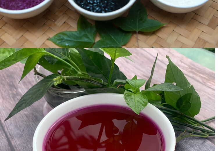 fghgf 广西特产五色糯米饭花米饭天然植物染料红紫蓝草五彩米橙紫黄黑