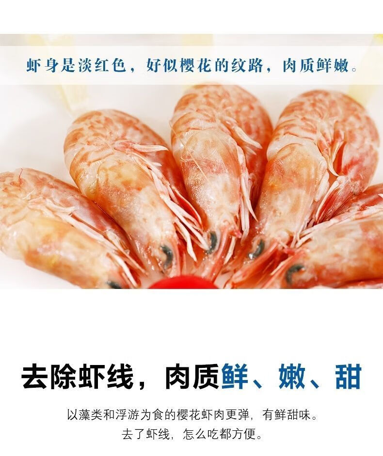 飞鹅雨林食味东山岛樱花虾玫瑰虾火焰虾刺身甜虾鲜活速冻天然海虾码头