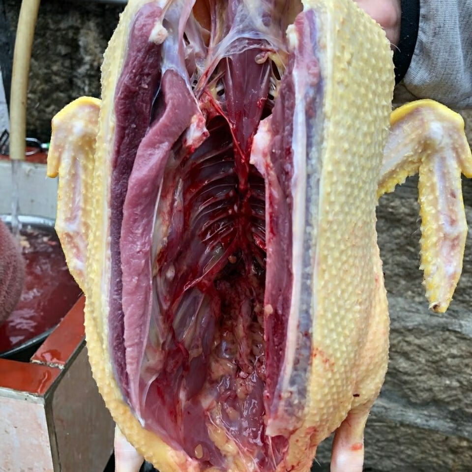 鸭子番鸭土鸭老鸭营养切好农村山林放养3只