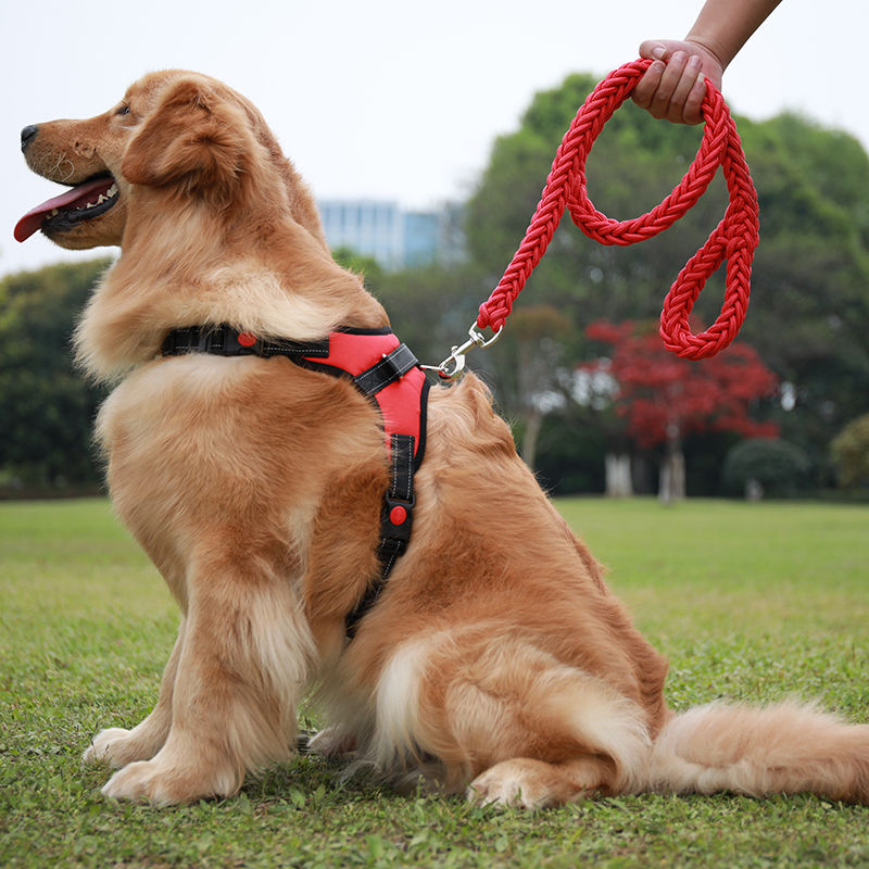 梦茜儿新品狗套脖子狗狗牵引绳金毛狗链子萨摩耶中大型犬胸背带泰迪