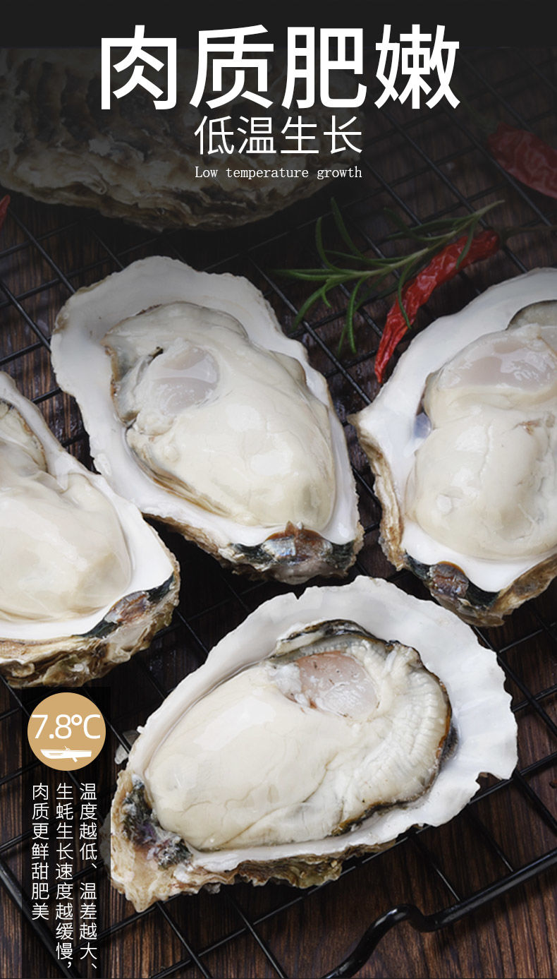 乳山生蚝鲜活新鲜活牡蛎生蚝特大海蛎子海鲜水产贝类生鲜 欧登城娜