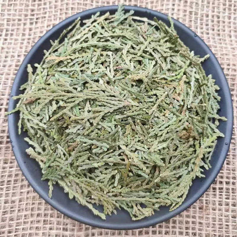 同仁堂云南野生中药材侧柏叶干侧柏叶 柏树叶 500g