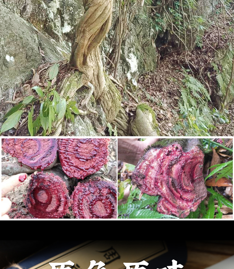 特级鸡血藤500g中药材广西野生新鲜干货大片泡茶泡酒煲汤补血【图片