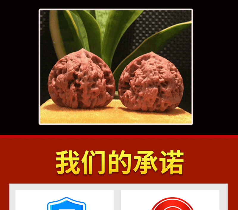 1ae8d4d550cde0a9.gif