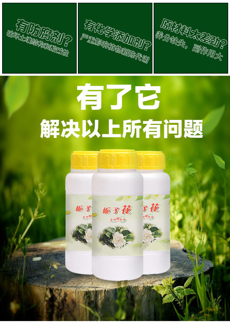 栀子花肥料专用肥栀子花营养液专用家用酸性有机土促进开花 栀子花