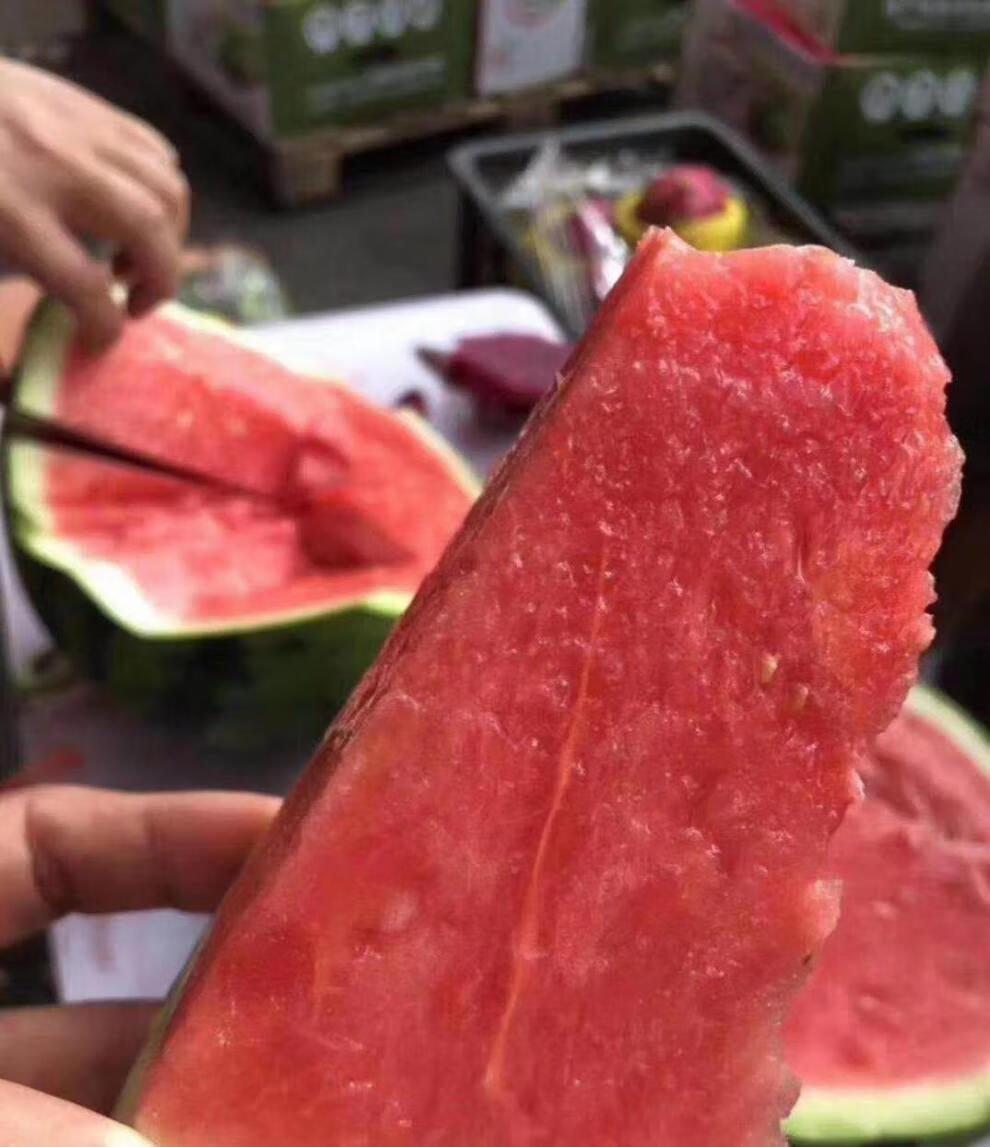 麒麟瓜麒麟西瓜特别甜一包糖盘个瓜初恋的味道7-10斤/个