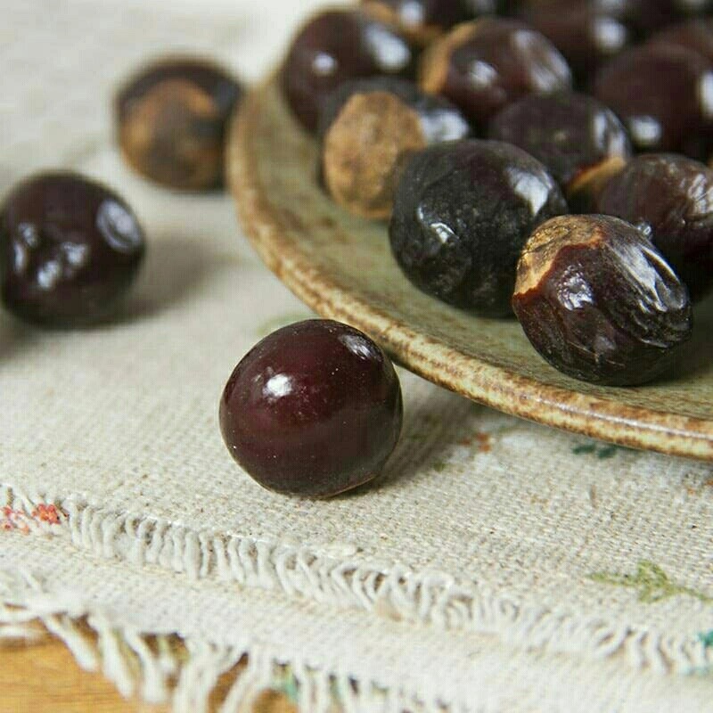 手选药材桂圆核桂圆核干龙眼核桂圆骨元肉核元肉籽新货500克【图片