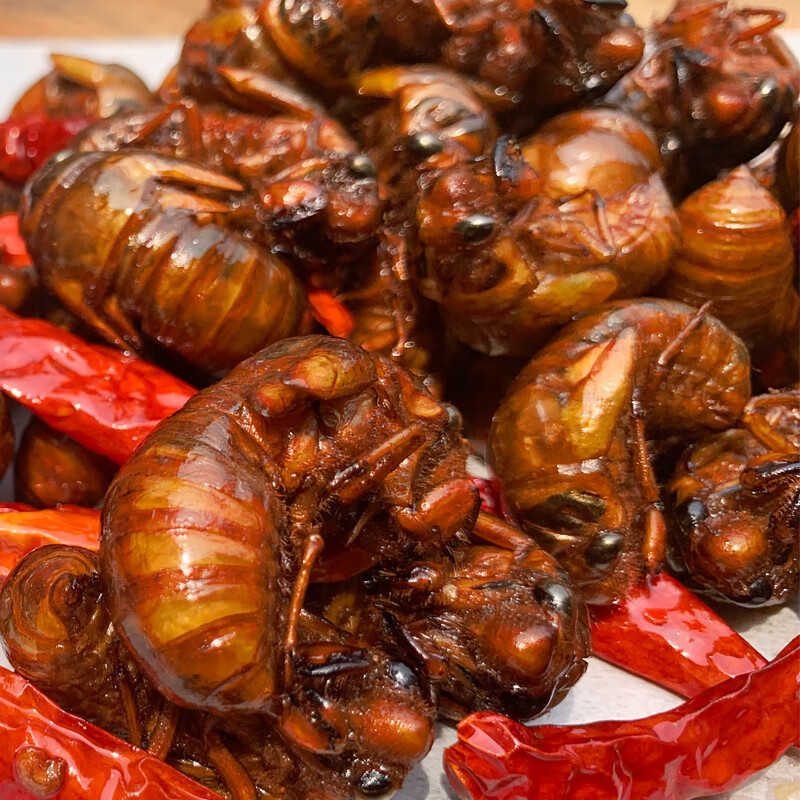 油炸金蝉知了猴 即食椒盐麻辣新鲜金蚕蝉蛹爬叉虫子肉食零食100只 50