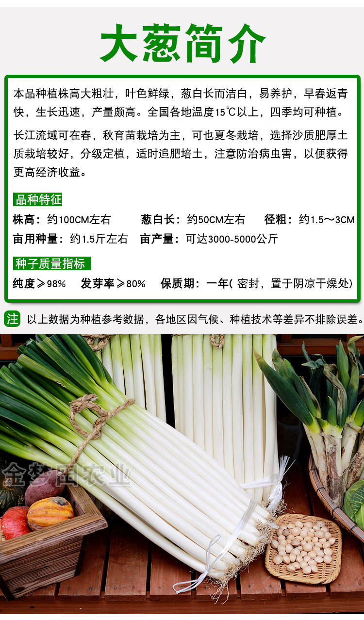 章丘大葱种子灌装200克