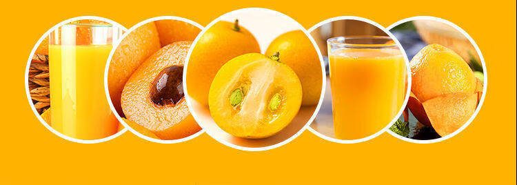 鲜绿园枇杷汁高浓度原浆果汁饮料饮品果蔬汁烟民清嗓消食解腻24瓶整箱